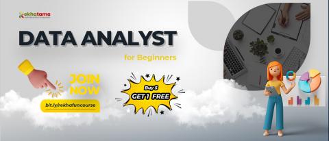 data analyst