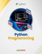 python programming