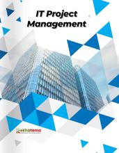 IT Project Management