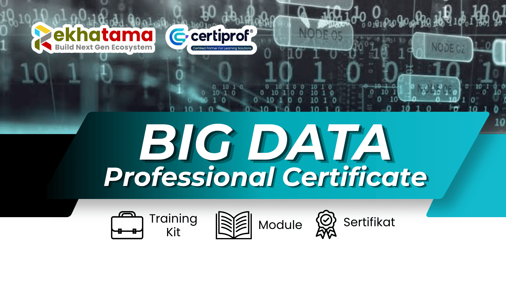 Big Data Professional Ceertificate