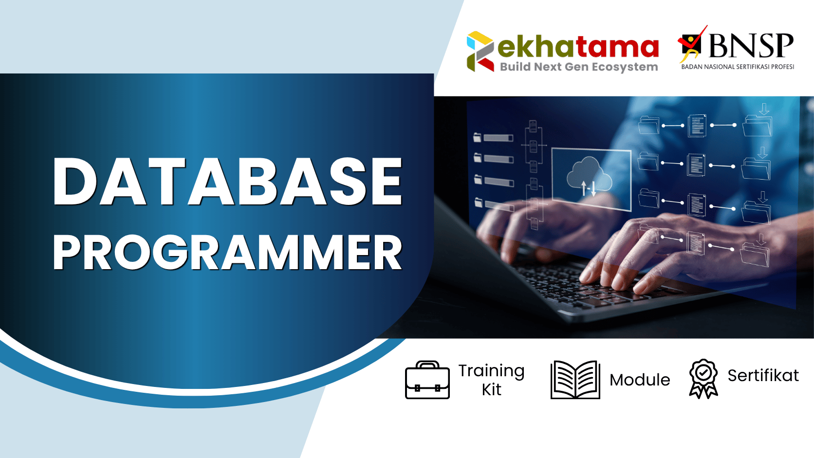Database-Programmer