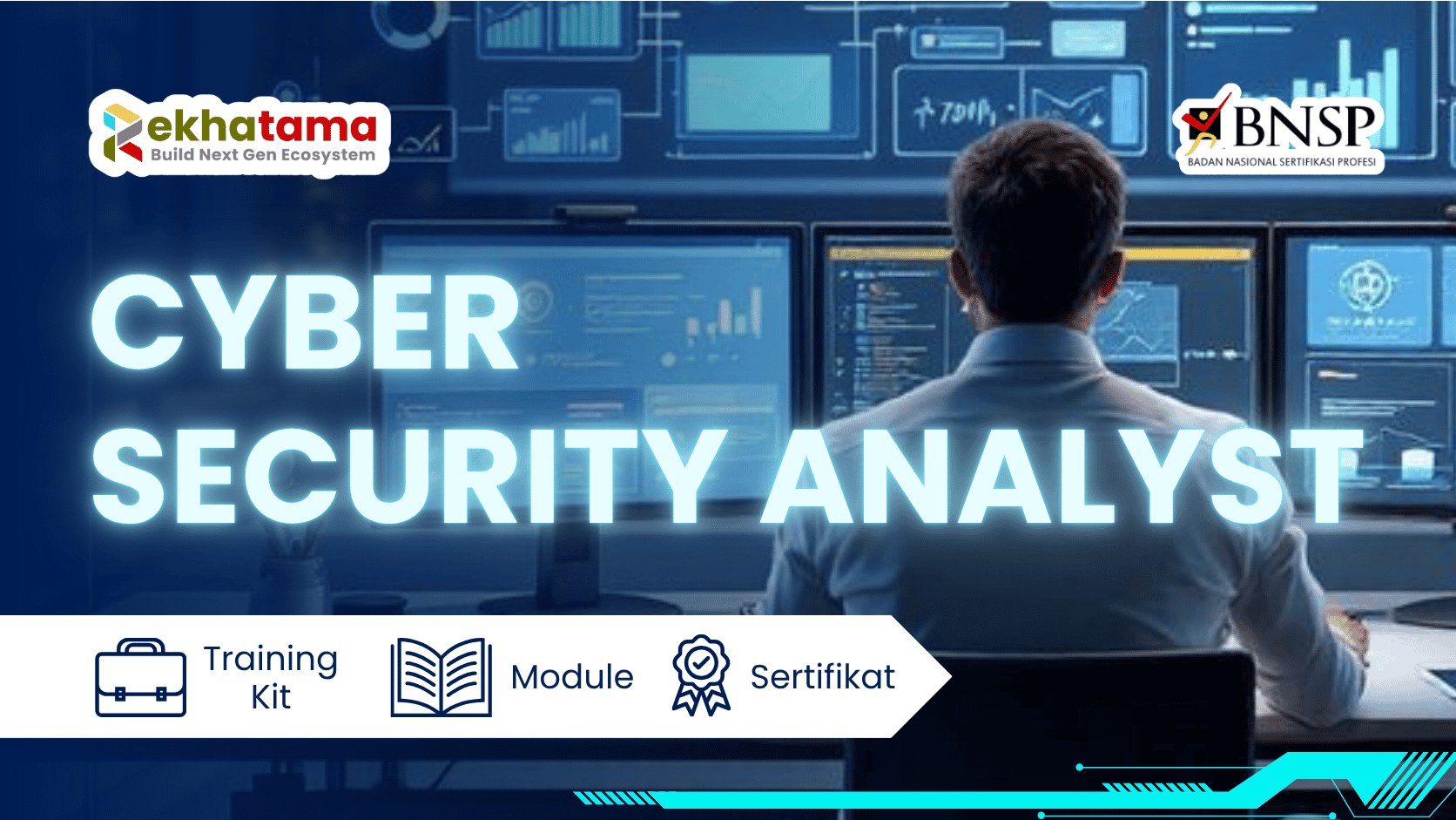Cyber Security Analyst