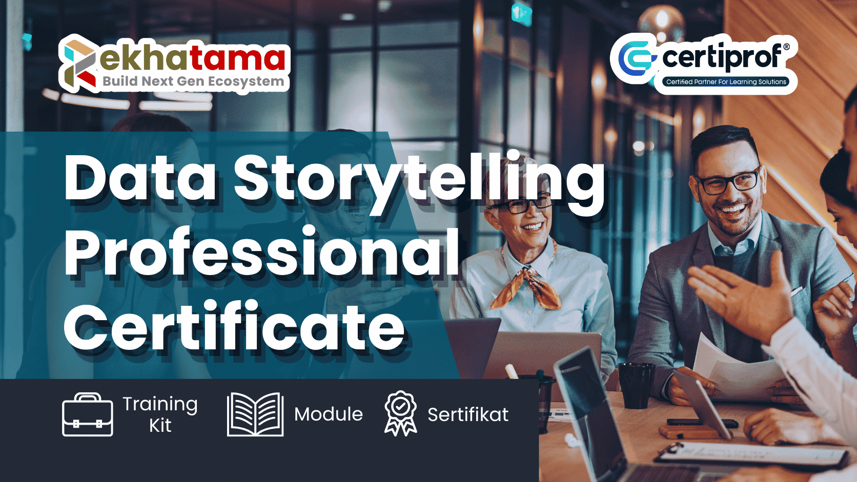 Data Storytelling Professional Certificate