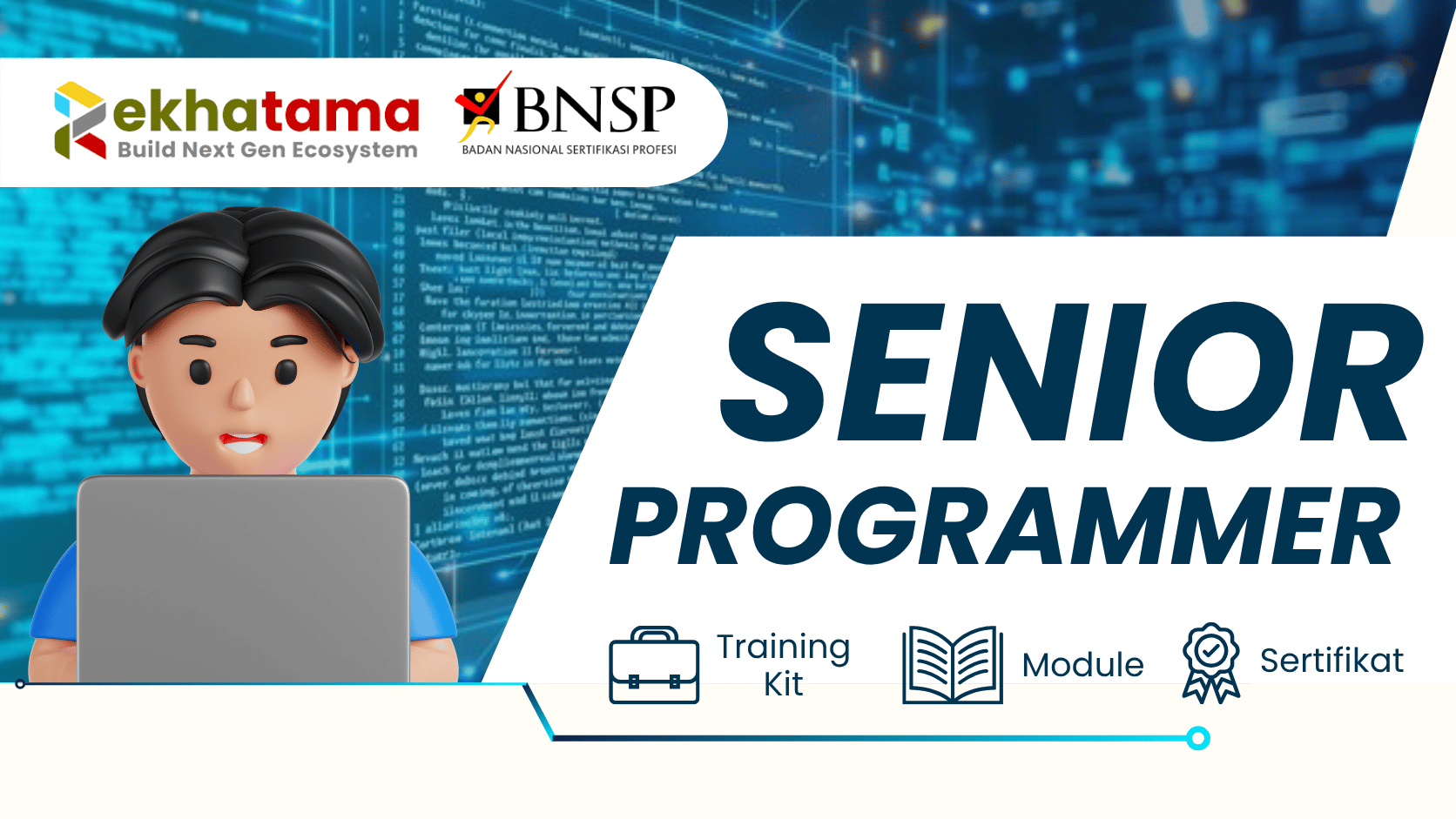Senior Programmer