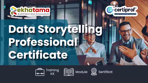 Data Storytelling Professional Certificate