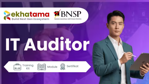 IT-Auditor