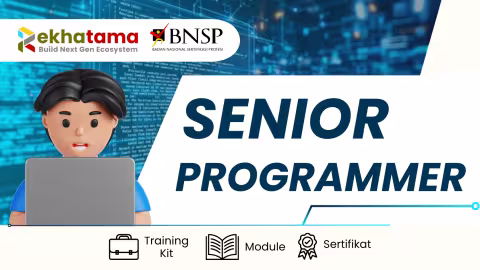 Senior-Programmer